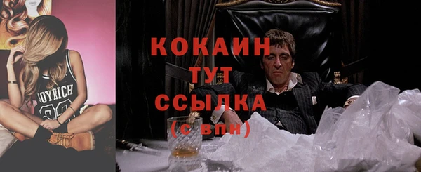 гидропоника Бородино