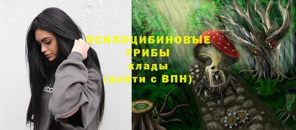 гидропоника Бородино