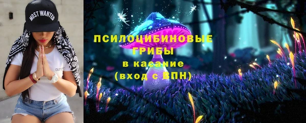 ECSTASY Бугульма