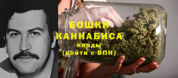 2c-b Бронницы