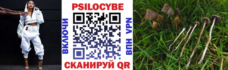 где можно купить наркотик  площадка Telegram  Псилоцибиновые грибы ЛСД  Домодедово 