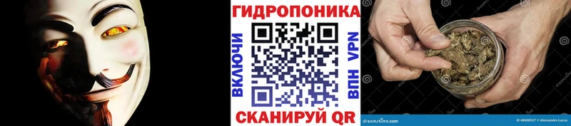 Шишки марихуана сатива  Домодедово 